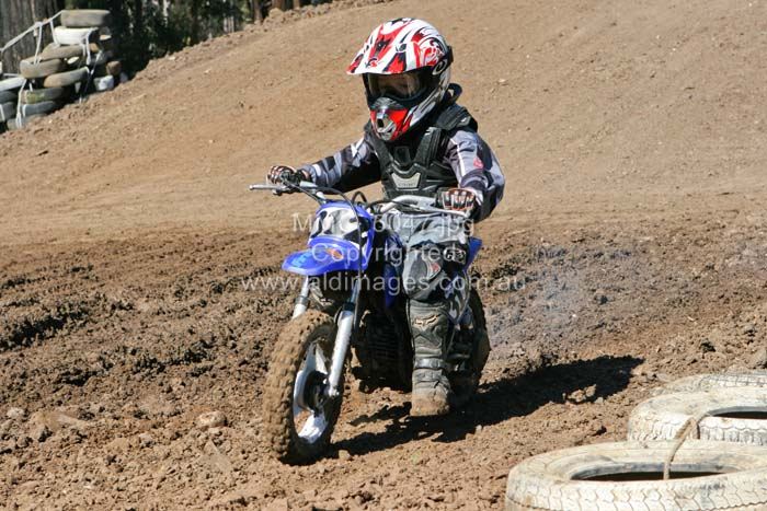 678x444 pixels (89K)